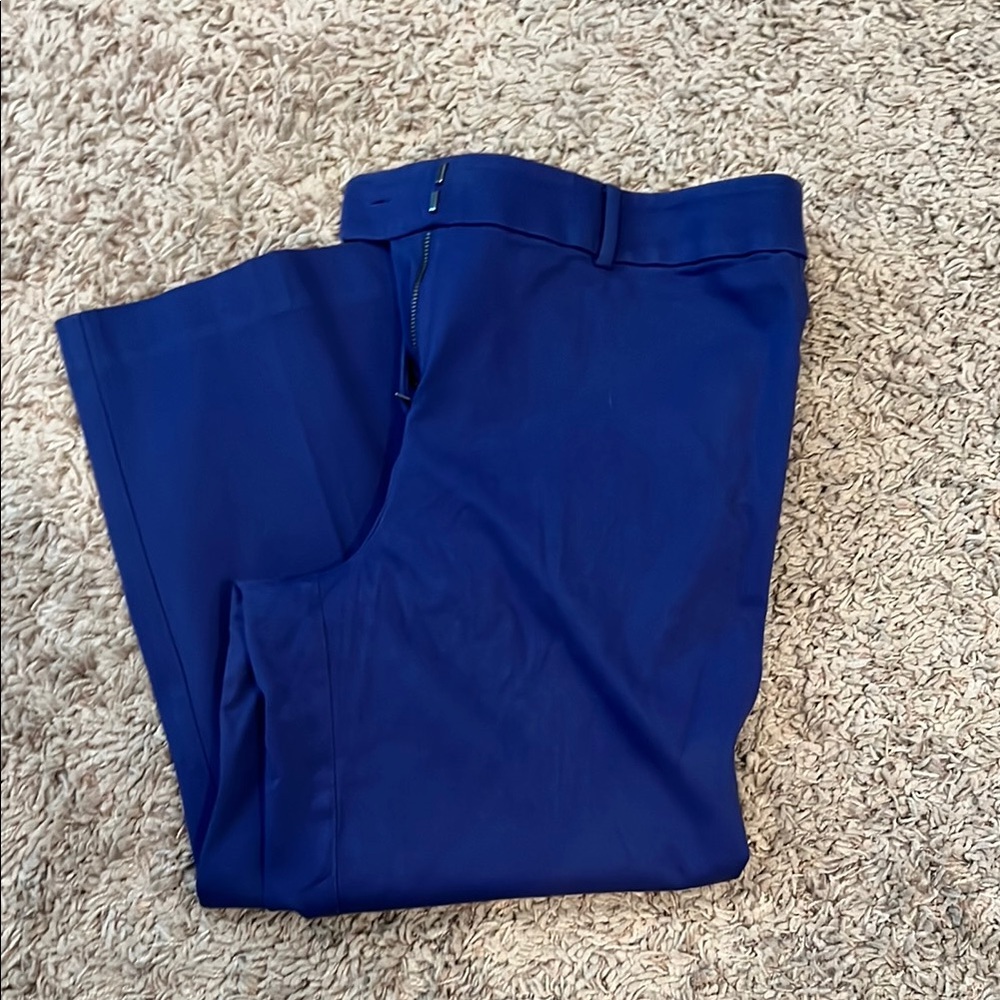 LOFT Women's Blue Pants